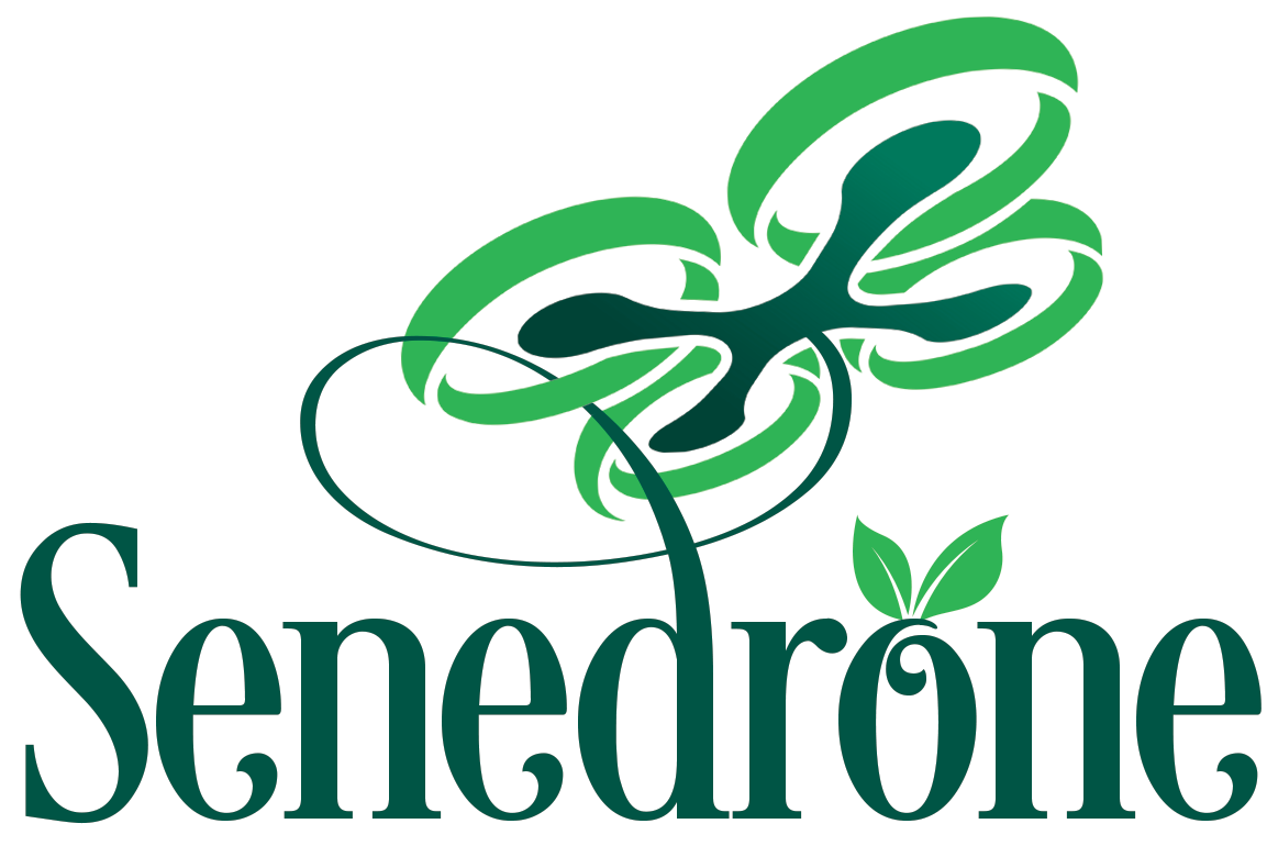 Senedrone